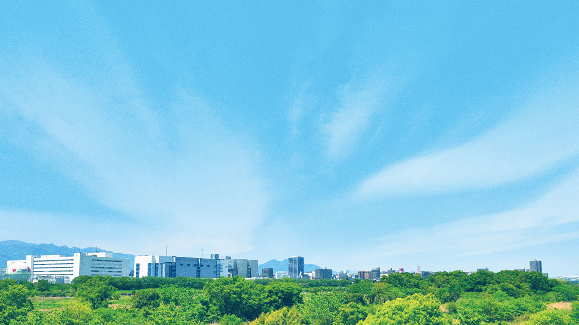 全ての力を厚木のために